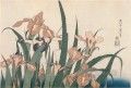 irises and grasshopper Katsushika Hokusai Ukiyoe